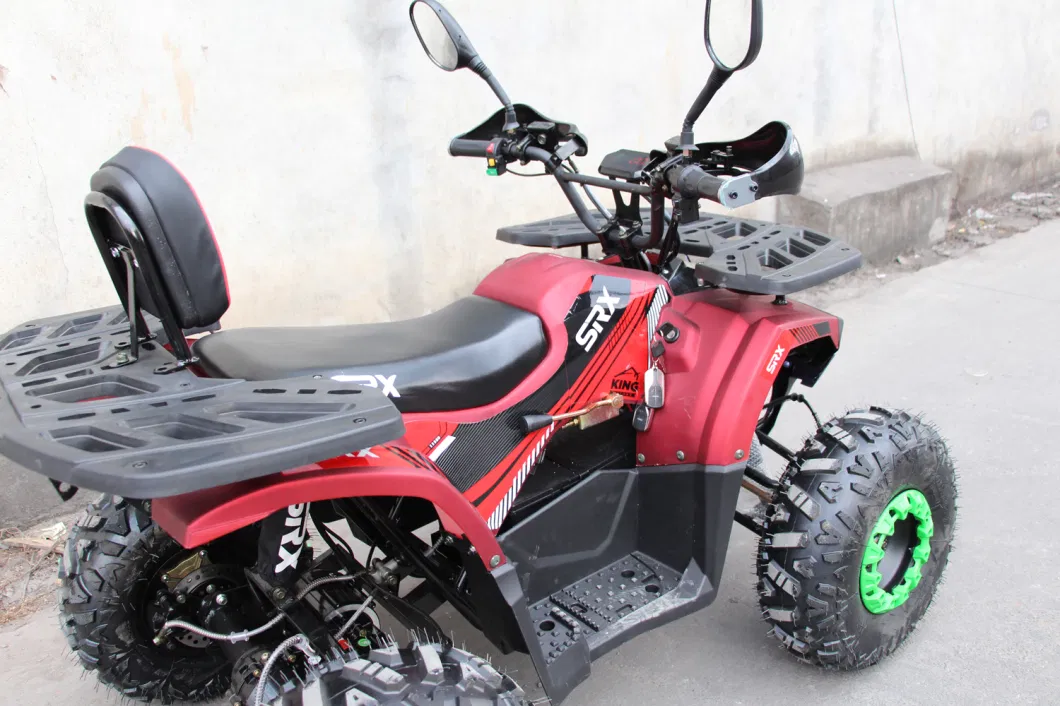 Wider Horizons 1500W Electric ATV Factory Sales