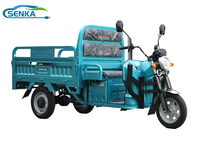 Senka Electric Trike Adult 3 Wheeler for Cargo Support Customized Tricycle