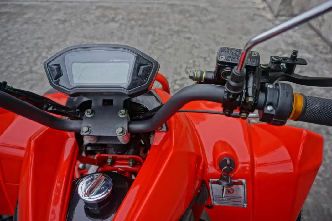 Gas ATV 200cc 250cc 300cc ATV Quad Bike for Adults