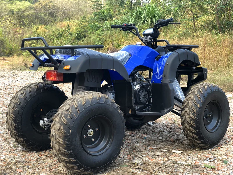 High Quality 200cc CE 10inch Racing Adult Electric 4 Wheel Quad Bike