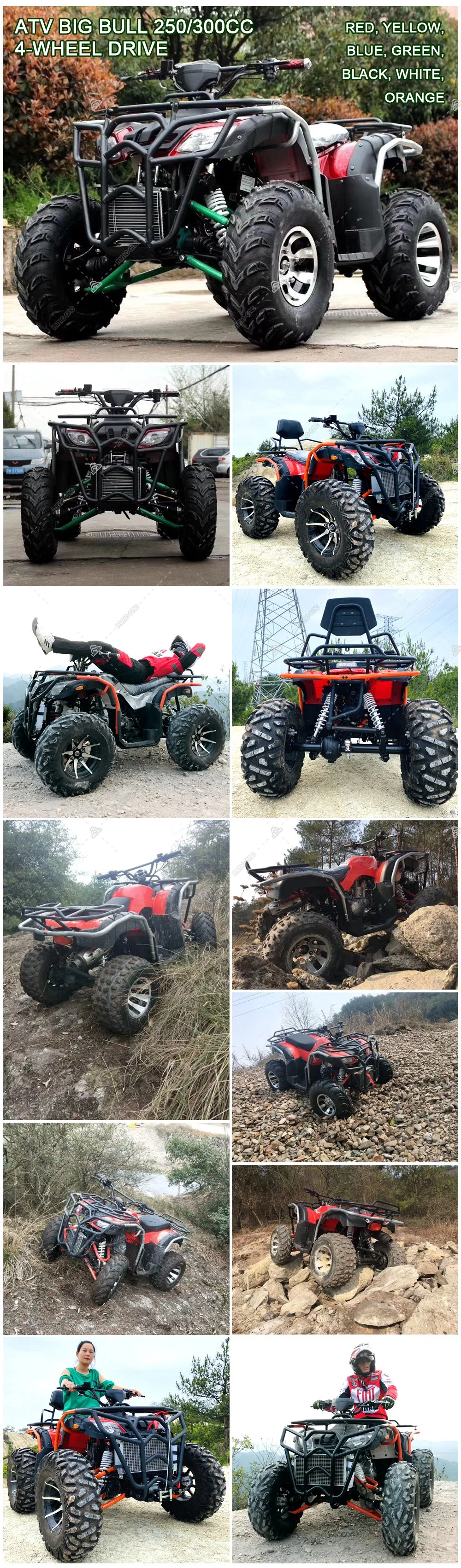 ATV 300cc Automatic Big Bull off-Road Four-Wheel Motorcycle Adults Mountain Atvs Gasoline ATV 150cc 200cc 4X4 Buggy ATV 250cc Farm 4X4 ATV