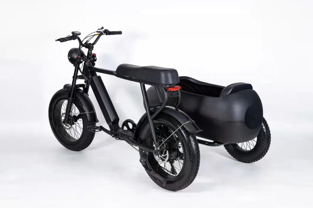 Electric Light-Duty Electric Bicycle for Commuting Three-Wheeler Electric Tricycle