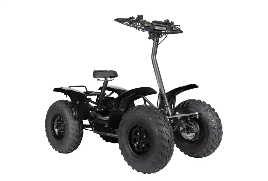 Unique Standing off-Road Electric 4*4 ATV