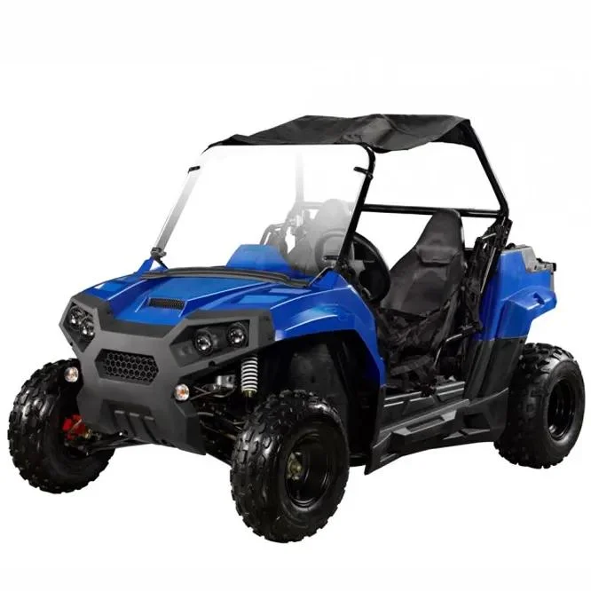 New Go-Kart Electric All Terrain Vehicle off Road Car Beach Buggy UTV ATV SUV