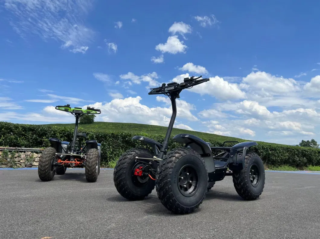 Unique Standing off-Road Electric 4*4 ATV