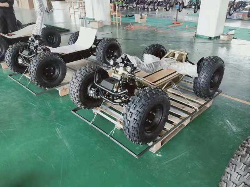 Factory Direct Sale Stable Quality Quad Adult Electric ATV 6000W