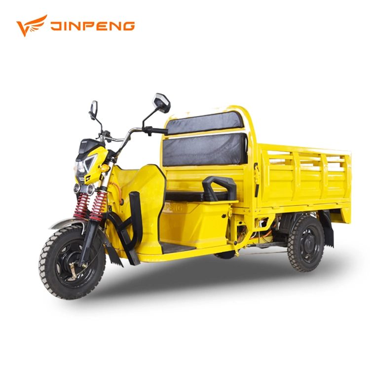Electric Tricycle Three-Wheeler for Cargo Russia