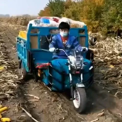 Eco Friendly Electric Tricycles Electric Dump Truck Auto Hydraulic Three-Wheeler
