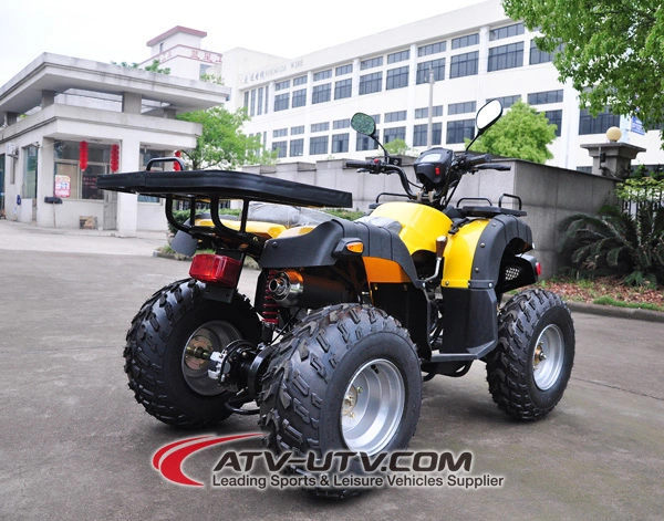 Hot Selling Quad Bike Price on 110cc 125cc 150cc 200cc 250cc ATV Beach Motorcycle