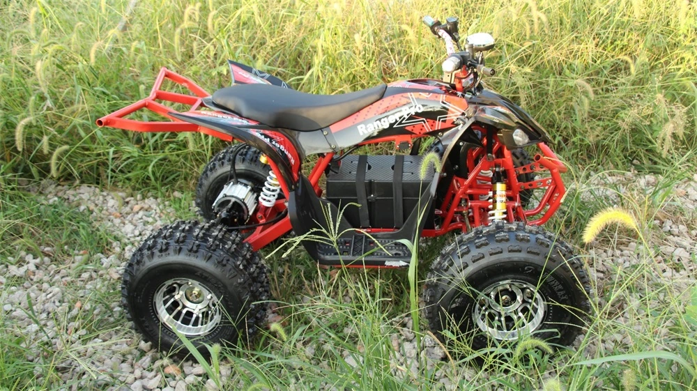 Manufacturers Customized Middle 1500W 1800W Beach Endless ATV