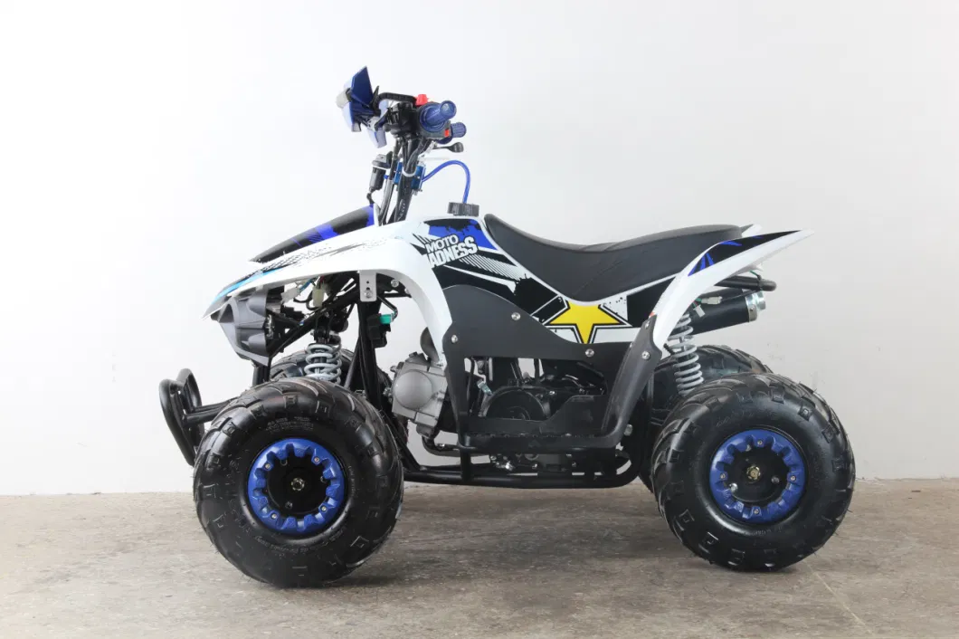 6 Inch Single Cylinder 45km/H Engine Kids ATV 49cc Mini ATV