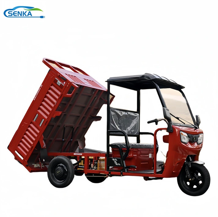 Senka EEC 1200W Certificated Cargo Electric Tricycle Rain Shield Cover 3 Wheeler E-Loader