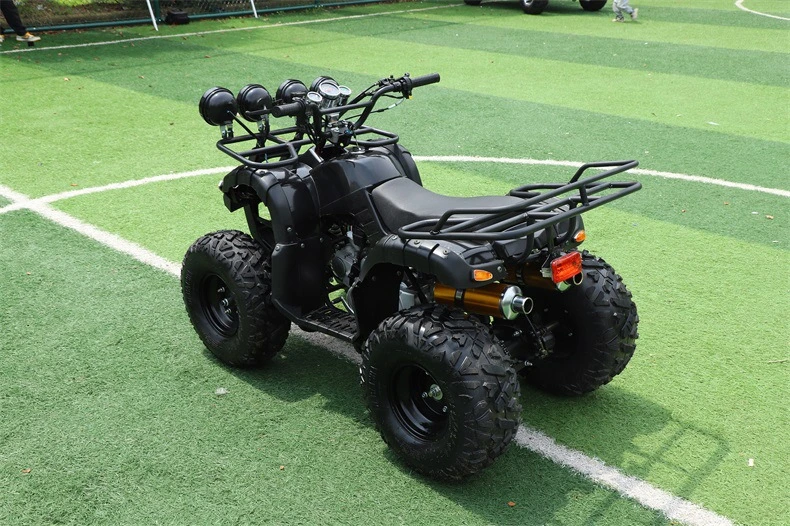 4X4 250cc Quad for 500cc Sale Parts 125cc Trailer 200cc Bike Kids Frame Engine 50cc 1000cc ATV/UTV 400cc off Road 800cc &amp; 4 ATV