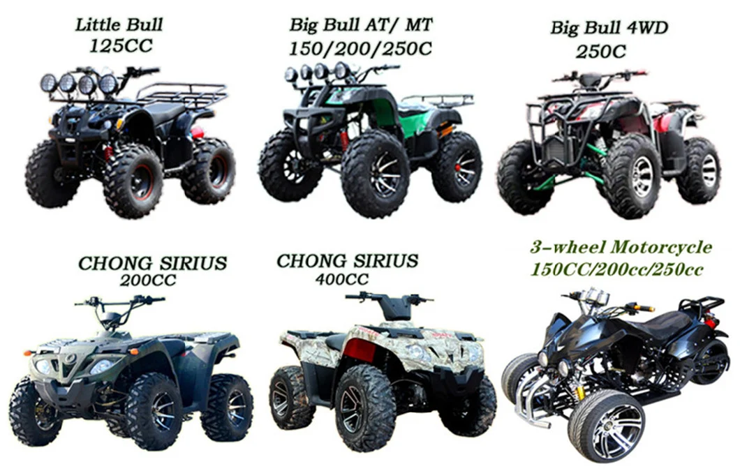 ATV 300cc Automatic Big Bull off-Road Four-Wheel Motorcycle Adults Mountain Atvs Gasoline ATV 150cc 200cc 4X4 Buggy ATV 250cc Farm 4X4 ATV