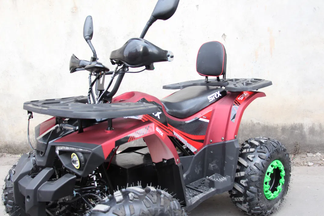 Wider Horizons 1500W Electric ATV Factory Sales