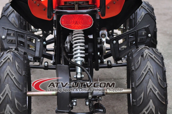 48V 800W &amp; 1000W Shaft Drived Electric ATV Quad Bike with Brushless Motor