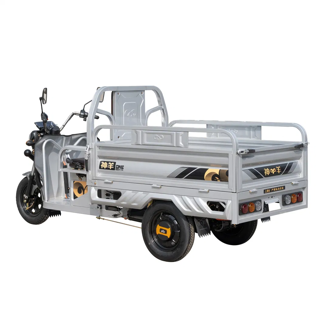 Hot Sale Electri Cargo Tricycle