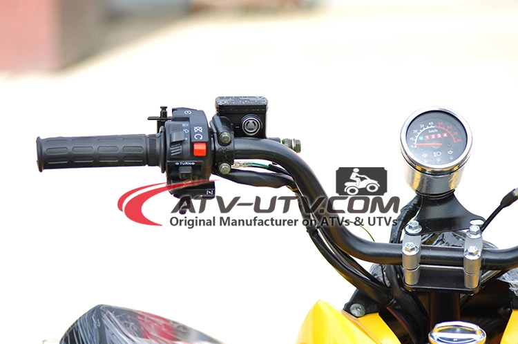 Hot Selling Gas-Powered 4-Stroke 150cc 200cc 250cc Adult ATV Quad Bike