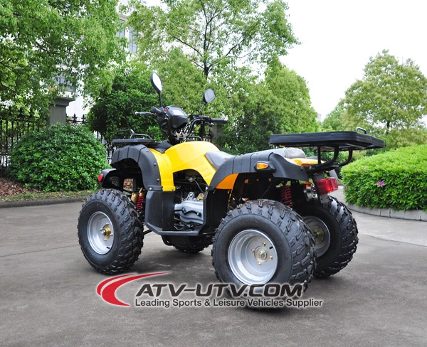 Hot Selling Quad Bike Price on 110cc 125cc 150cc 200cc 250cc ATV Beach Motorcycle