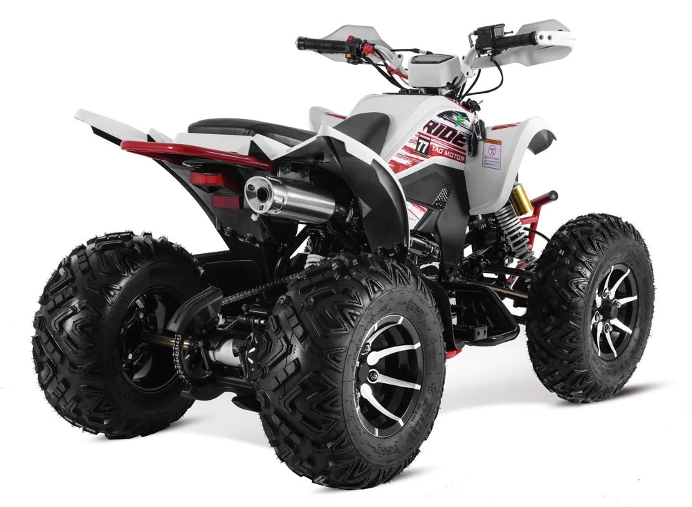 Tao Motor 2024 Latest Design 250cc Quad Bike Sport ATV