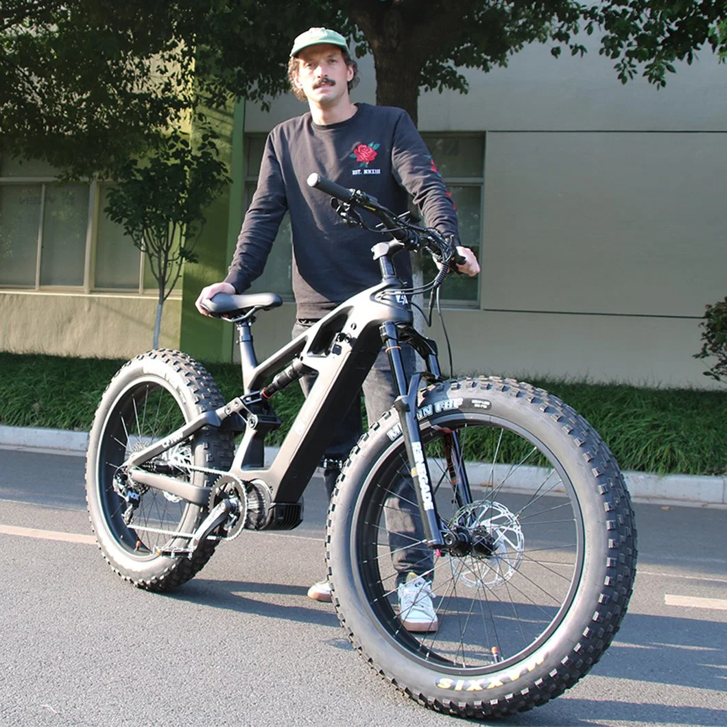9/11 Speed with Derailleur Electirc Dirt Bikes Electric Bicycle Electro Bikes E Bike Frame Motor Ebike