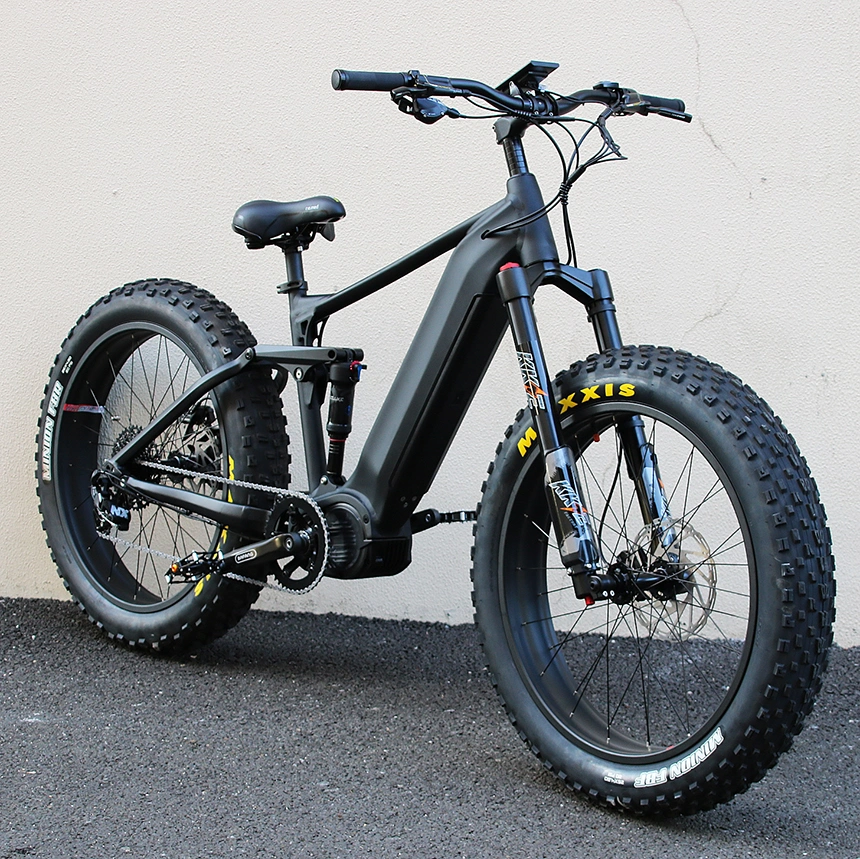 Electric Bicycle 750W 1000W 30ah New Big Powered Ultra Light Lithium Electric Bike