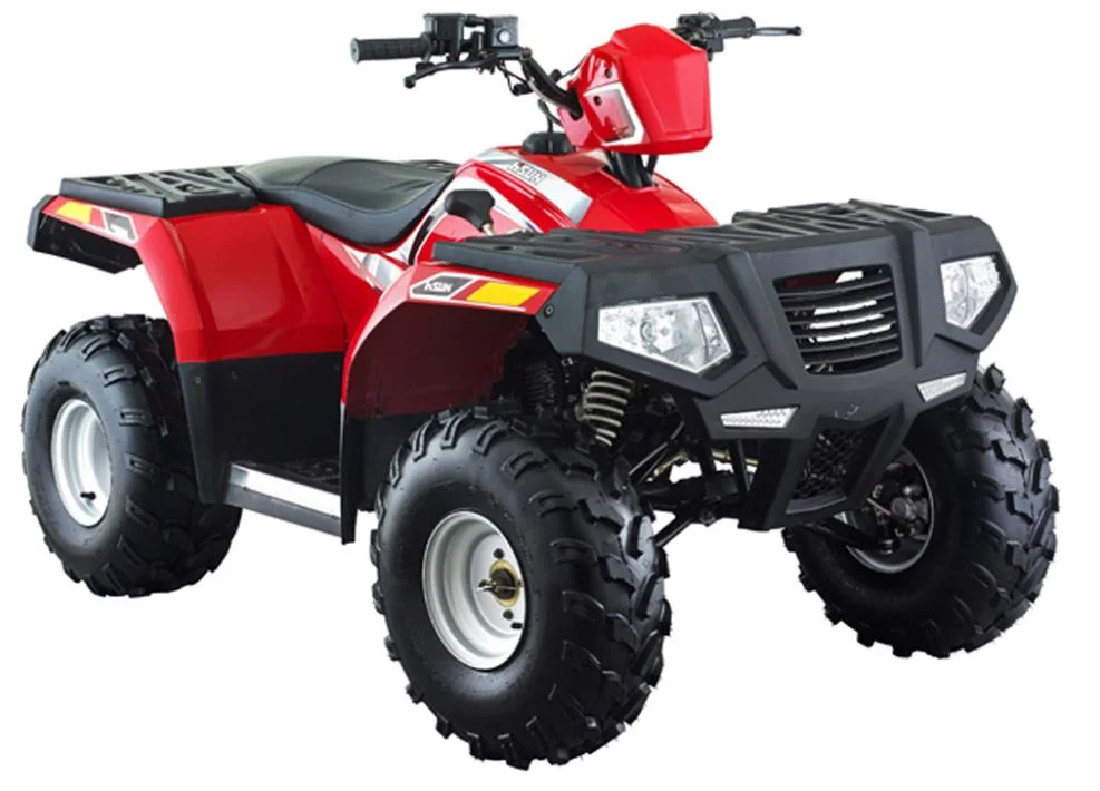 Electric ATV Quad Bike Hisun Quad Kids 110