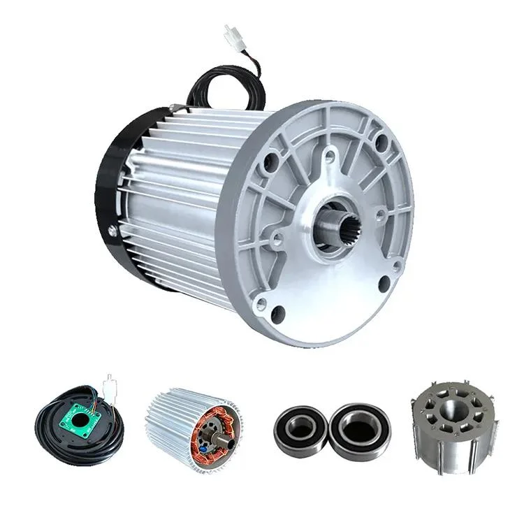 Hot Selling 48V 1500W 3200rpm Brushless Gear DC Motor Differential Motor for Tricycle