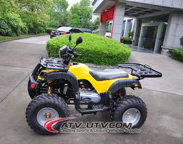 Hot Selling Quad Bike Price on 110cc 125cc 150cc 200cc 250cc ATV Beach Motorcycle