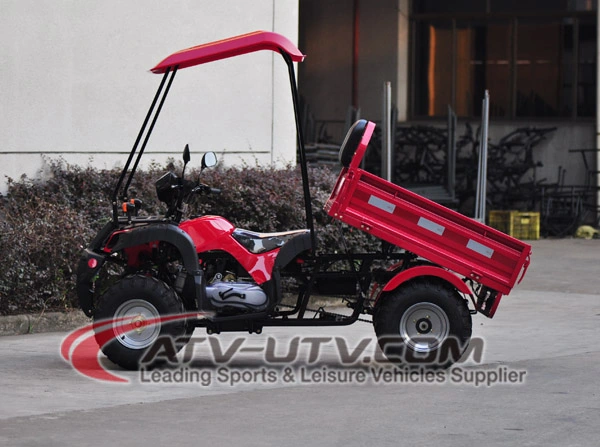 4X4 4-Stroke 200cc 250cc 300cc Farm Cargo ATV Coc (AT1505-B)