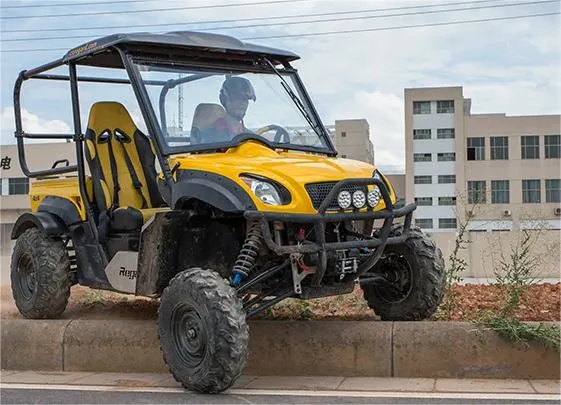 8kw Two Seats UTV 4X4 Farm Electric Pickup Truck 4WD with EEC