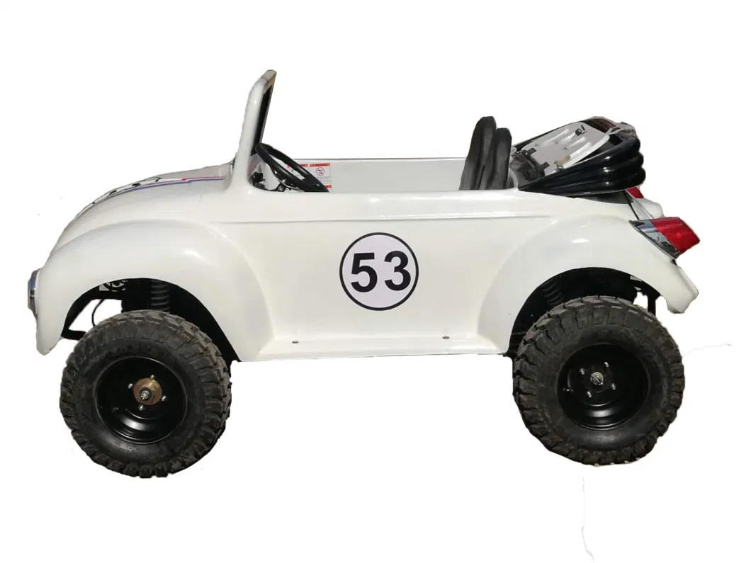 4 Wheel Quad 4X4 48V 1500W Electric ATV