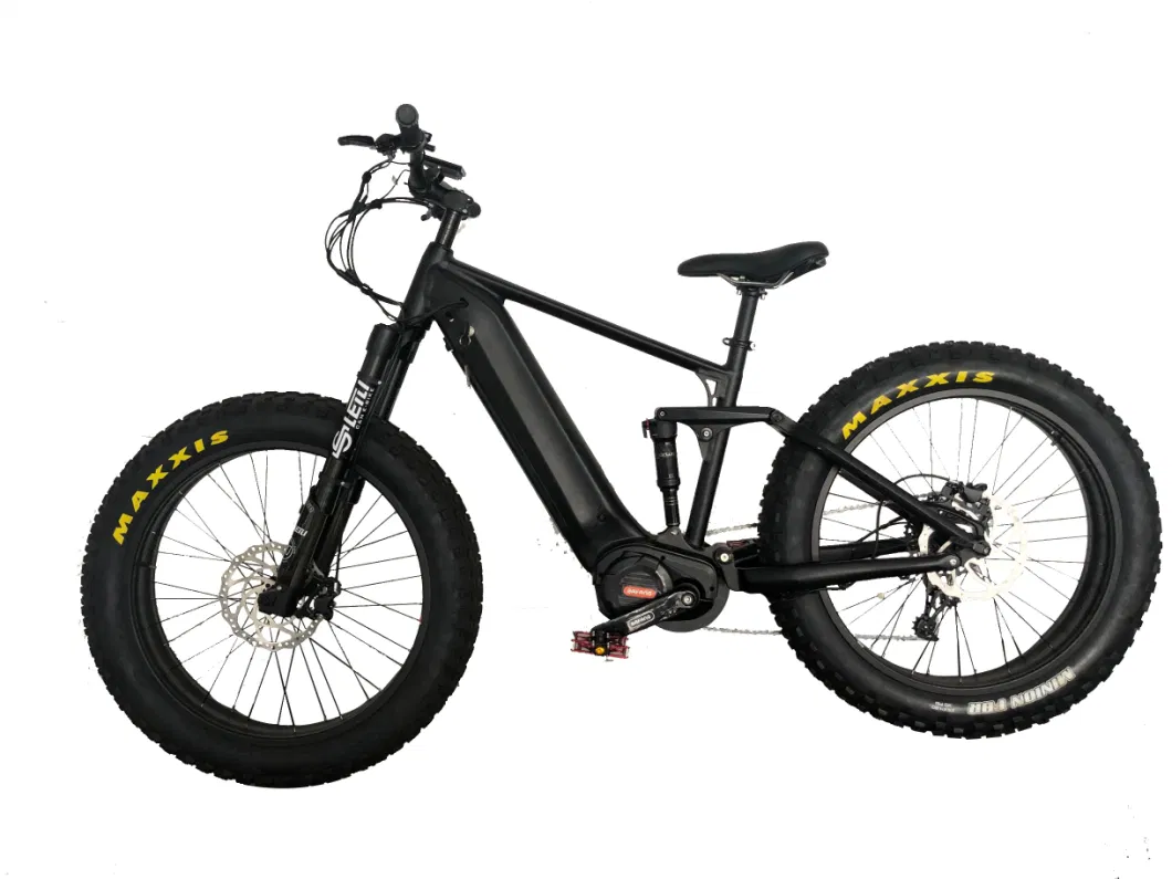 Electric Bicycle 750W 1000W 30ah New Big Powered Ultra Light Lithium Electric Bike