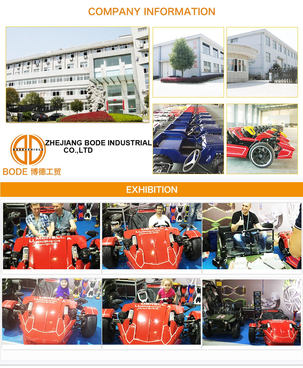 Bode New 4X4 3000W Electric Quad Bike