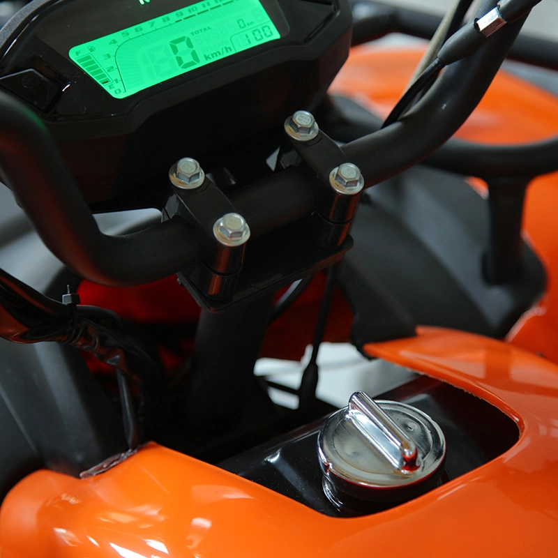 New Type Electric Powered Youth ATV 3000W ATV Quad Bike