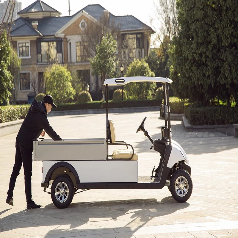 Hio EV 2-Passenger Utility Golf Cart with Aluminium Cargo Box