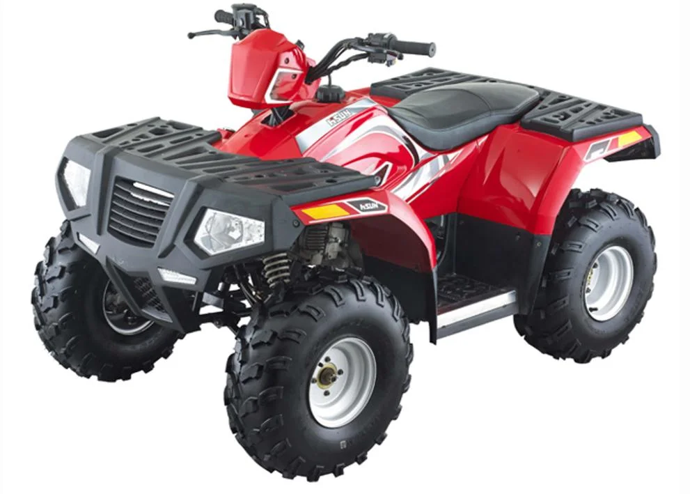 Electric ATV Quad Bike Hisun Quad Kids 110