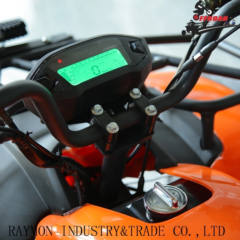 4 Wheeler Motorcycle 150cc/200cc Quad Bike Dune Buggy 250cc ATV with CE