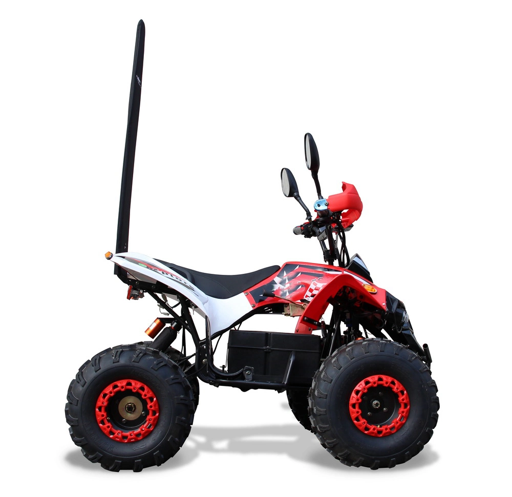 Middle Quad Electric 1000W 1500W 48V ATV