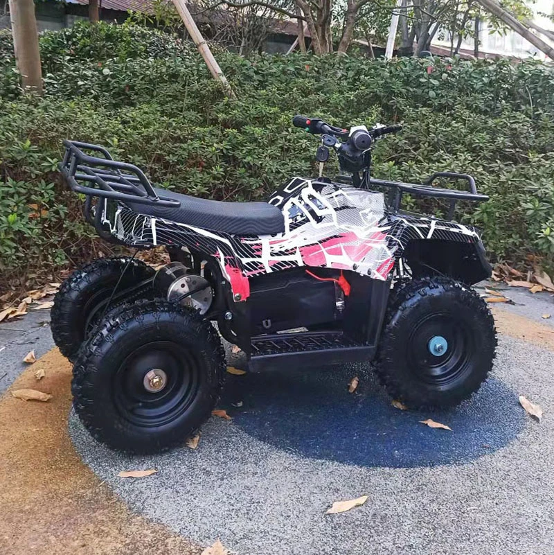 Kids ATV Electric Quad Bike 800W