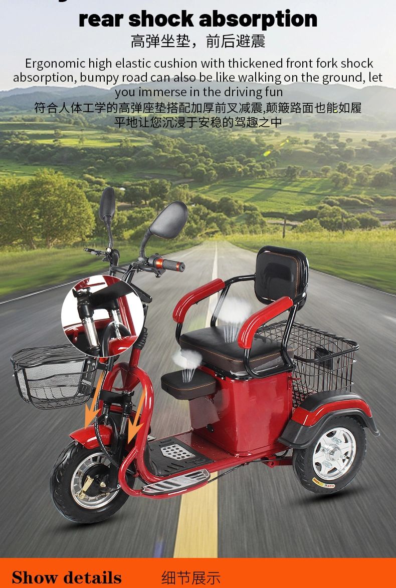 25km Top Speed Etrike Open Electric Tricycle 3 Wheelers