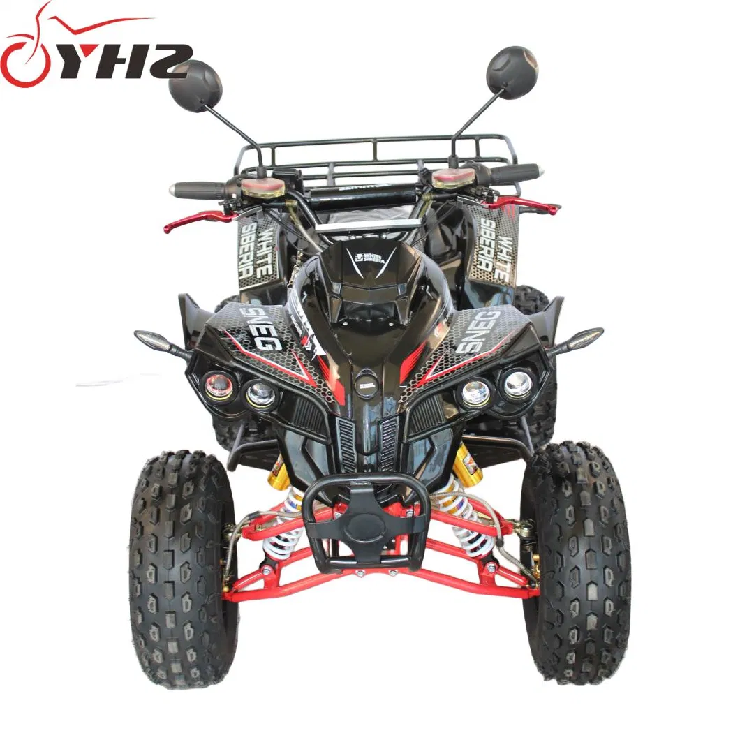 2000W 4000W Adult Small Electric ATV UTV off-Road Vehicle 8 Inch Tire