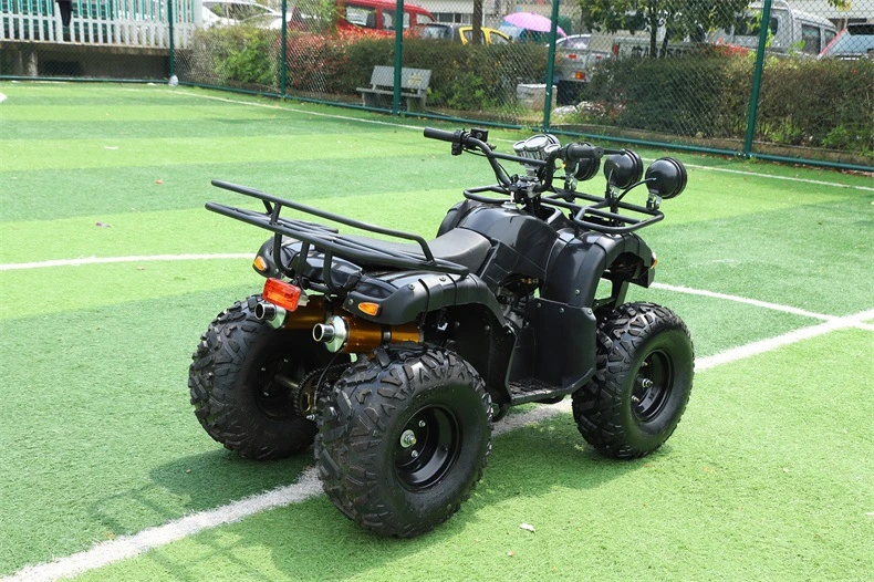 4X4 250cc Quad for 500cc Sale Parts 125cc Trailer 200cc Bike Kids Frame Engine 50cc 1000cc ATV/UTV 400cc off Road 800cc &amp; 4 ATV