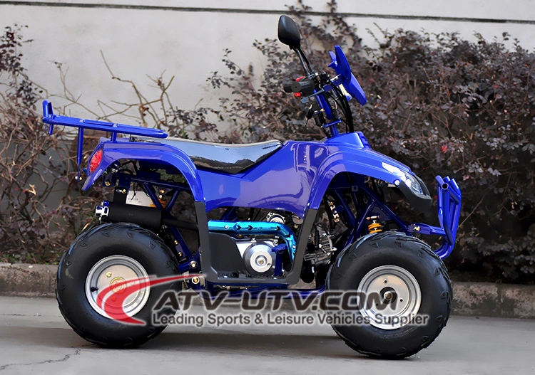 50cc 110cc 125cc 150cc 200cc Chain Drive 4 ATV Quad Bike