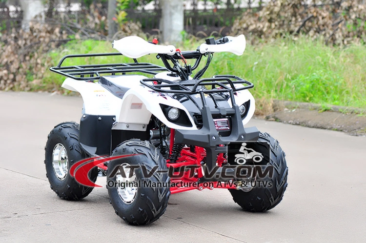 Street Legal 110cc 125cc 200cc 250cc Atvs Quad for Adults