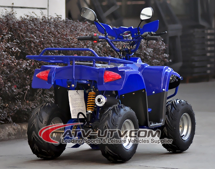 50cc 110cc 125cc 150cc 200cc Chain Drive 4 ATV Quad Bike