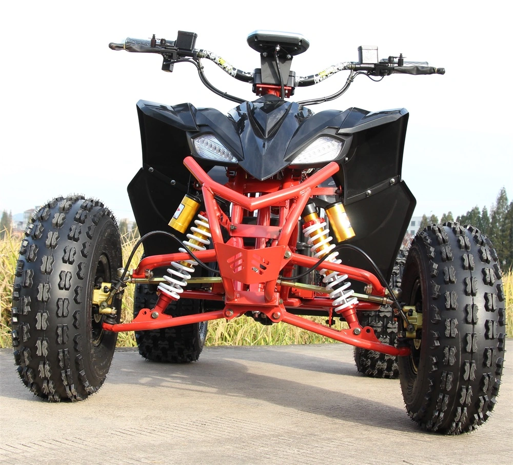Manufacturers Customized Middle 1500W 1800W Beach Endless ATV
