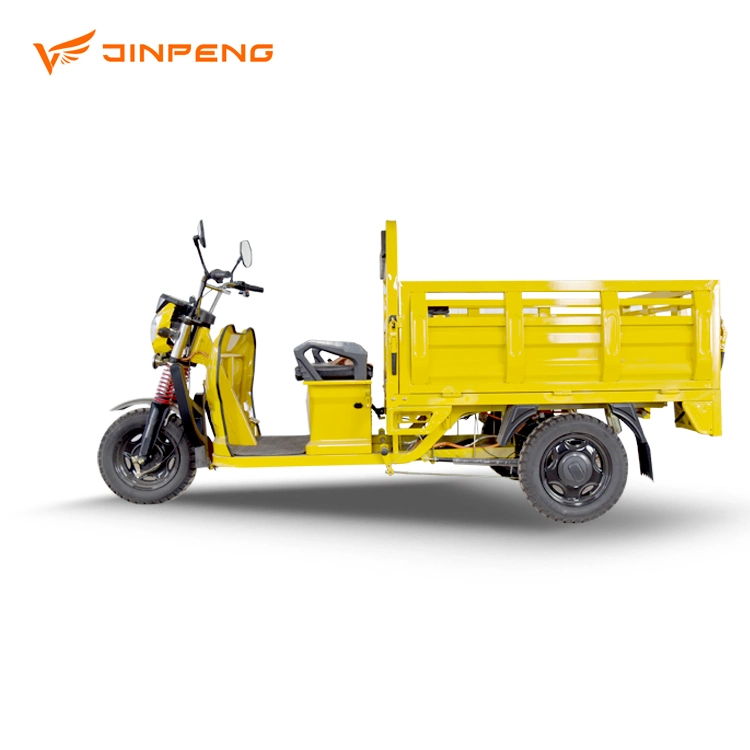 Electric Tricycle Three-Wheeler for Cargo Russia