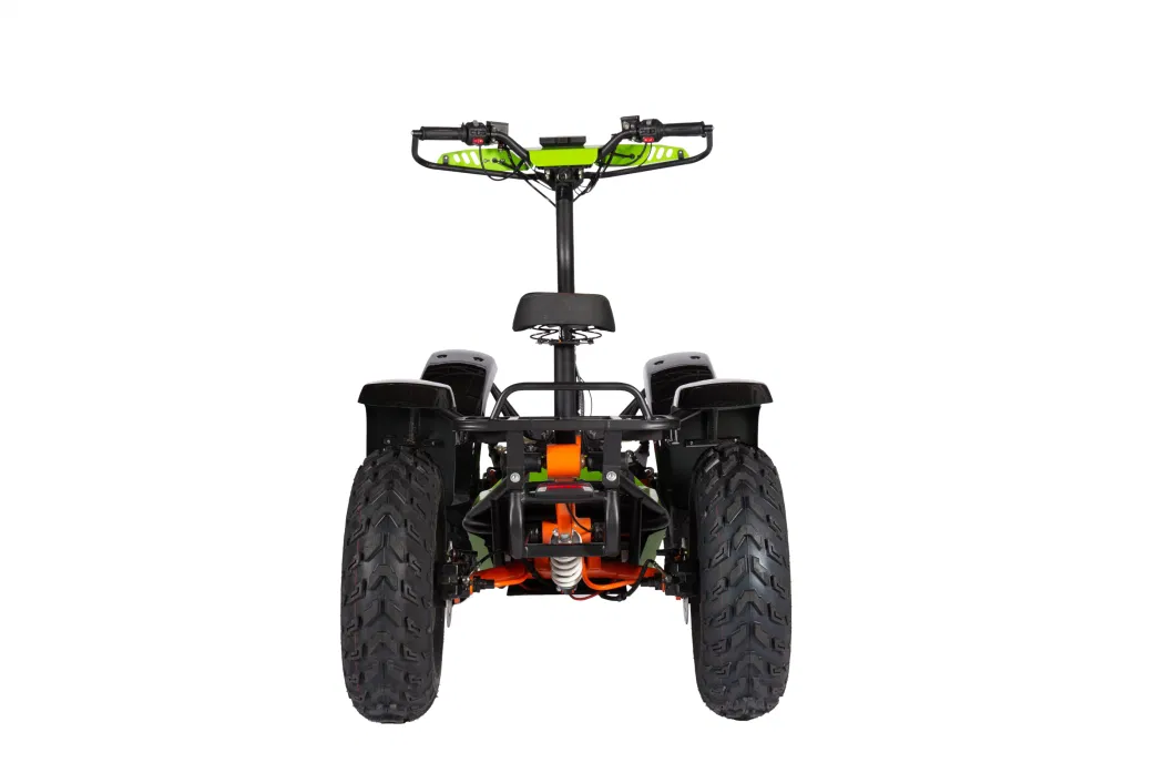 Electro Standing ATV, Farm ATV, 4 Wheel Scooter for off Road