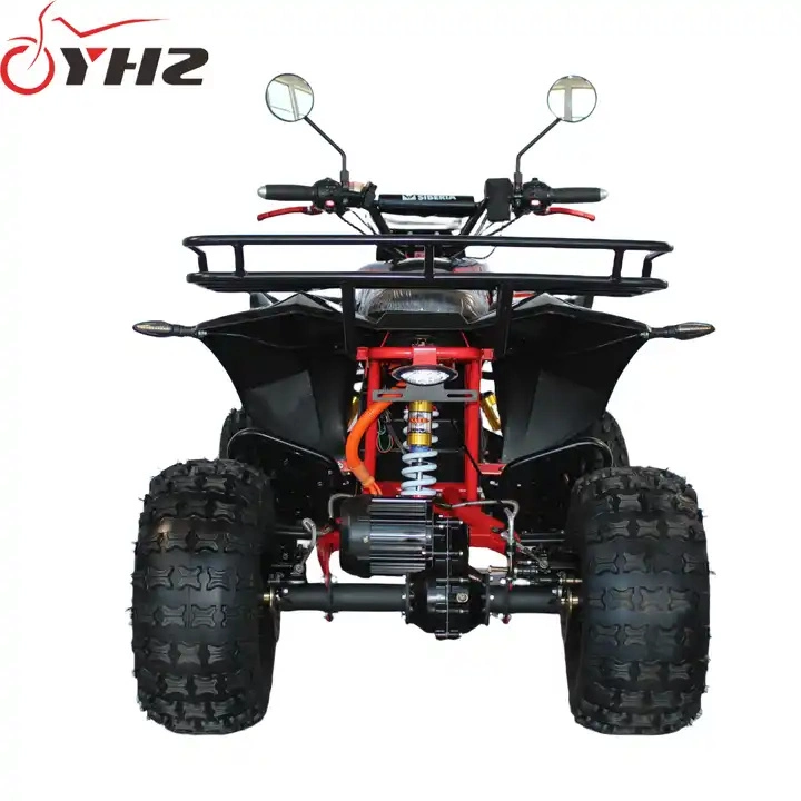 2000W Lead Acid 60V20ah Electric Buggy Go Kart Dirt Bike ATV &amp; Quad